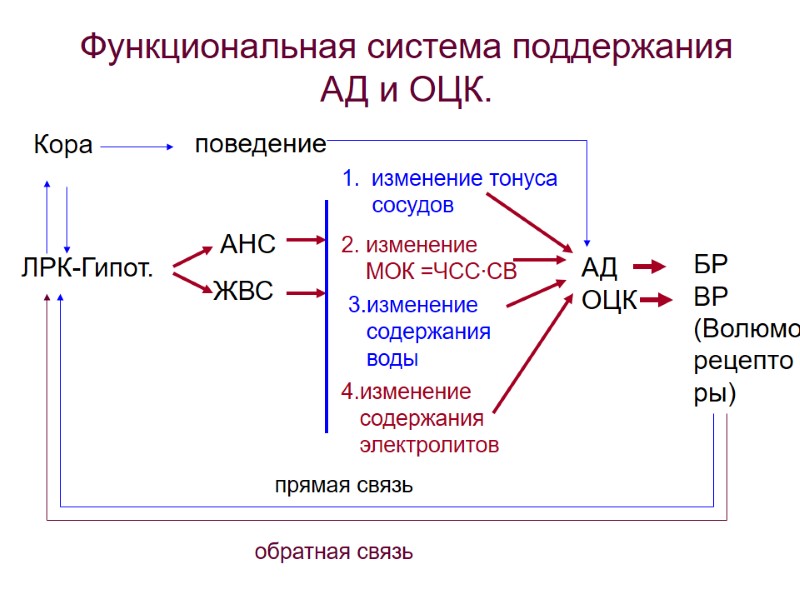 АД ОЦК БР ВР  (Волюмо- рецепто ры) ЛРК-Гипот. АНС ЖВС изменение тонуса 